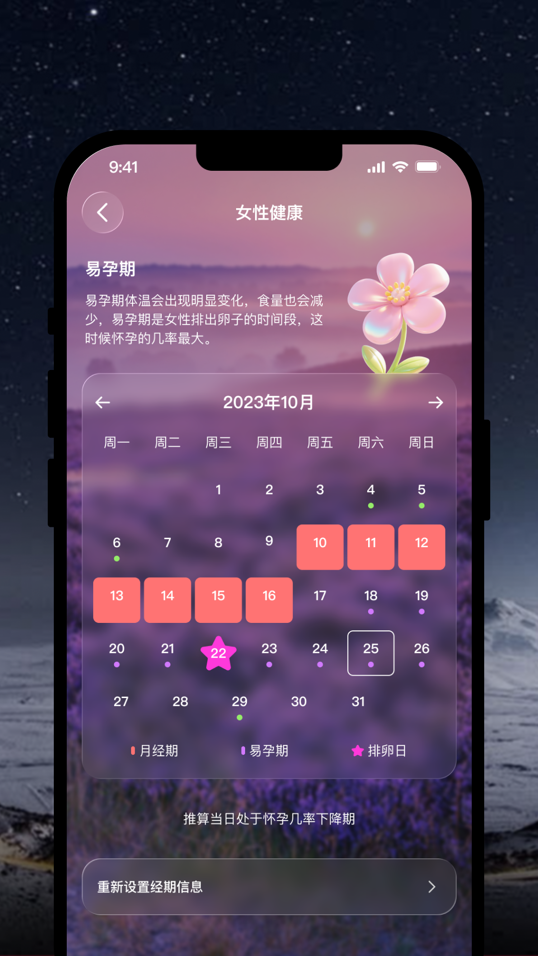 健康报告详情